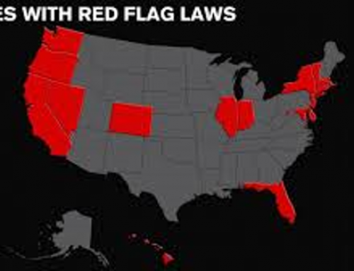 Democrat Red Flag Bill Violates the US and Virginia Constitutions